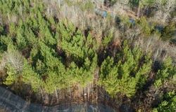 24 Painted Bunting Trail, Smithville, OK 74957