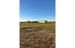 13582 CR 433, Merkel, TX 79536