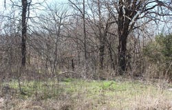 W 9th Street, Stroud, OK 74079