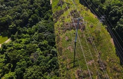 0 Glick Road, High Ridge, MO 63049