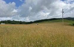Tbd Troutdale Hwy., Mouth of Wilson, VA 24363