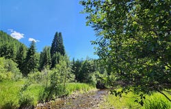 NHN Silver Butte Road, Libby, MT 59923
