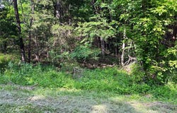 0 Mimeaux Court, Bonne Terre, MO 63628