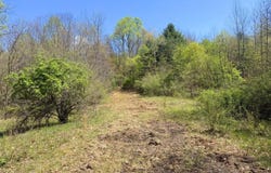 Mount Hope Rd, WV
