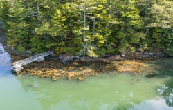34 Creek Lane, Edgecomb, ME 04556