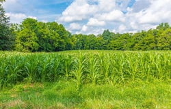 3188 St Rt 125, West Union, OH 45693