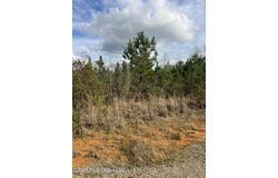 W Wortham Road, Saucier, MS 39574