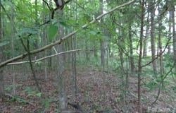 1.5 Ac Pinckney Road, Chester, SC 29706