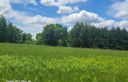 145th, Eagle Bend, MN 56446