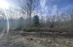 fox Road, Dingmans Ferry, PA 18328