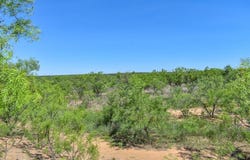 20 Acres E. FM 765, Lohn, TX 76852