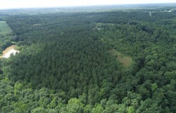Genito Parkway, Jetersville, VA 23083