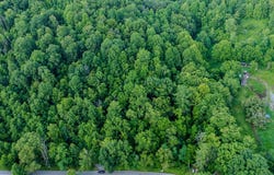 Tbd Dry Fork Road, North Tazewell, VA 24630