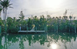 8040 BOCILLA DRIVE, PLACIDA, FL 33946