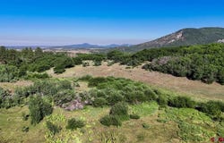 Road N, Rico, CO 81332