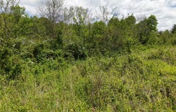 Alderman Rd, Millfield, OH 45761