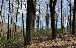 Tr B Little Terrapin Road, Cashiers, NC 28717