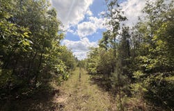 93 Hammond Road, Monticello, MS 39654