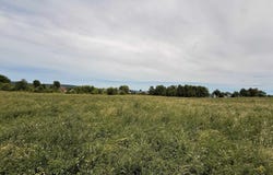 Betty Marie Way lot: 12, Merrimac, WI 53561