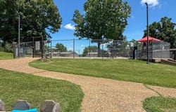 6 Annette Road, Cherokee Village, AR 72529
