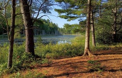 495 Dahlia Farm Road, Monroe, ME 04951