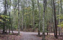 459 Alford Lake Road, Hope, ME 04847