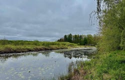 448 Autumn Road, Cadillac, MI 49601