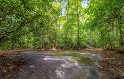 J 34 Cherokee Point, Lake Toxaway, NC 28747
