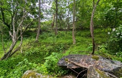 211 Ravens Nest Road, Stroudsburg, PA 18360