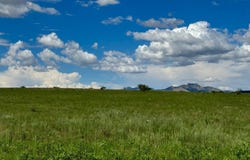 22AC FRUITLAND LANE, Elgin, AZ 85611