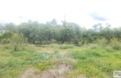 31099 FM 1575, LOS FRESNOS, TX 78566