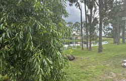 19701 WOODFIELD CIRCLE, N. Fort Myers, FL 33903