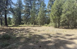 40222 Lobart Way, Chiloquin, OR 97624