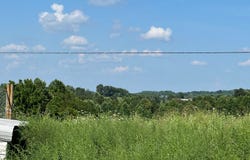 Tract #17 Statham Rd, Liberty, KY 42539