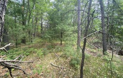 Stitt Lane, Mio, MI 48647