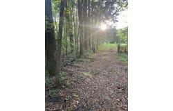 0 Jefferies Highway, Round O, SC 29474