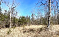 9205 Hwy 9 Highway, Melbourne, AR 72556