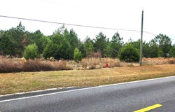 NW Freeman Road, Bristol, FL 32321