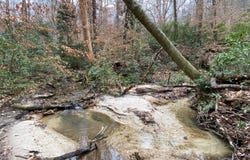 0 County Road 42, Tunnel Springs, AL 36471
