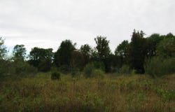 McGuirk, Clare, MI 48617