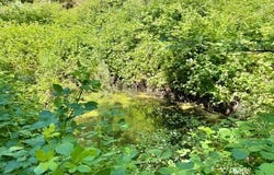 1080 Democrat Heights, Weaverville, CA 96093