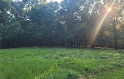 18440 Beaver Hollow  RD, Garfield, AR 72732