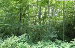 Lot 17 Farm Loop Road, Banner Elk, NC 28604