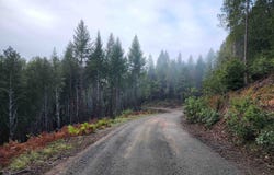 Fox Ridge Road, Crescent City, CA 95531