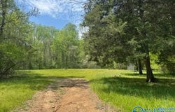 210 Acres County Road 604, Hollytree, AL 35751