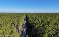 Old Train Road, New Smyrna Beach, FL 32168