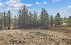NKA Lower Weaver Way, Deer Park, WA 99006