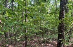 UNDERWOOD FERRY Rd, Quinton, AL 35130