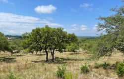 1074 Madrone Road, Fischer, TX 78623