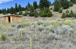 426 Friend Spring Road, Whitehall, MT 59759